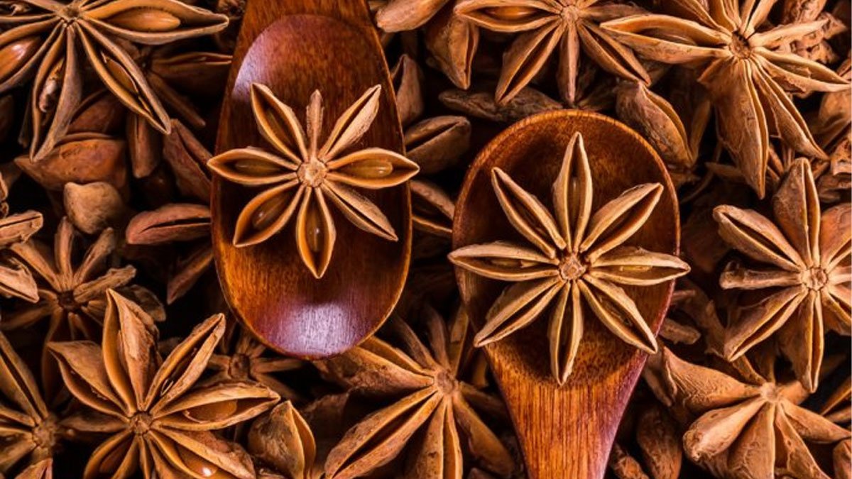 Beneficios del Anis Estrellado como Planta Medicinal