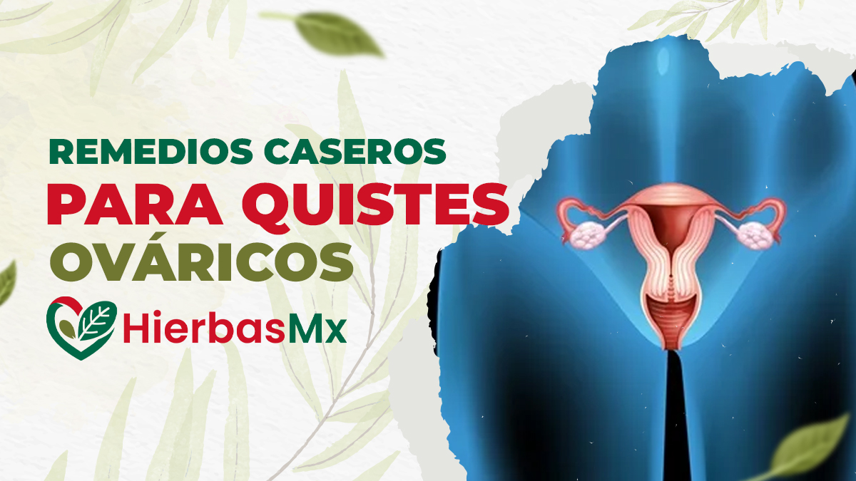 Remedios y Plantas Medicinales para Eliminar Quistes Ováricos
