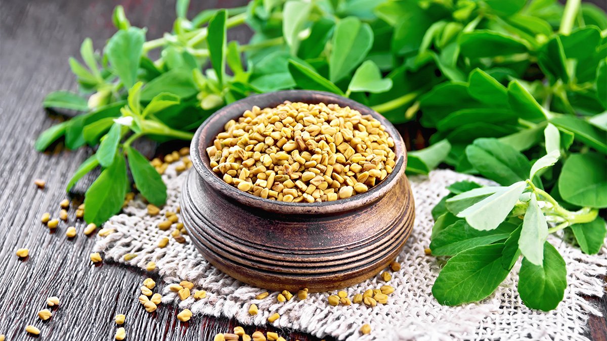 Para qué Sirve el Fenogreco en las Mujeres