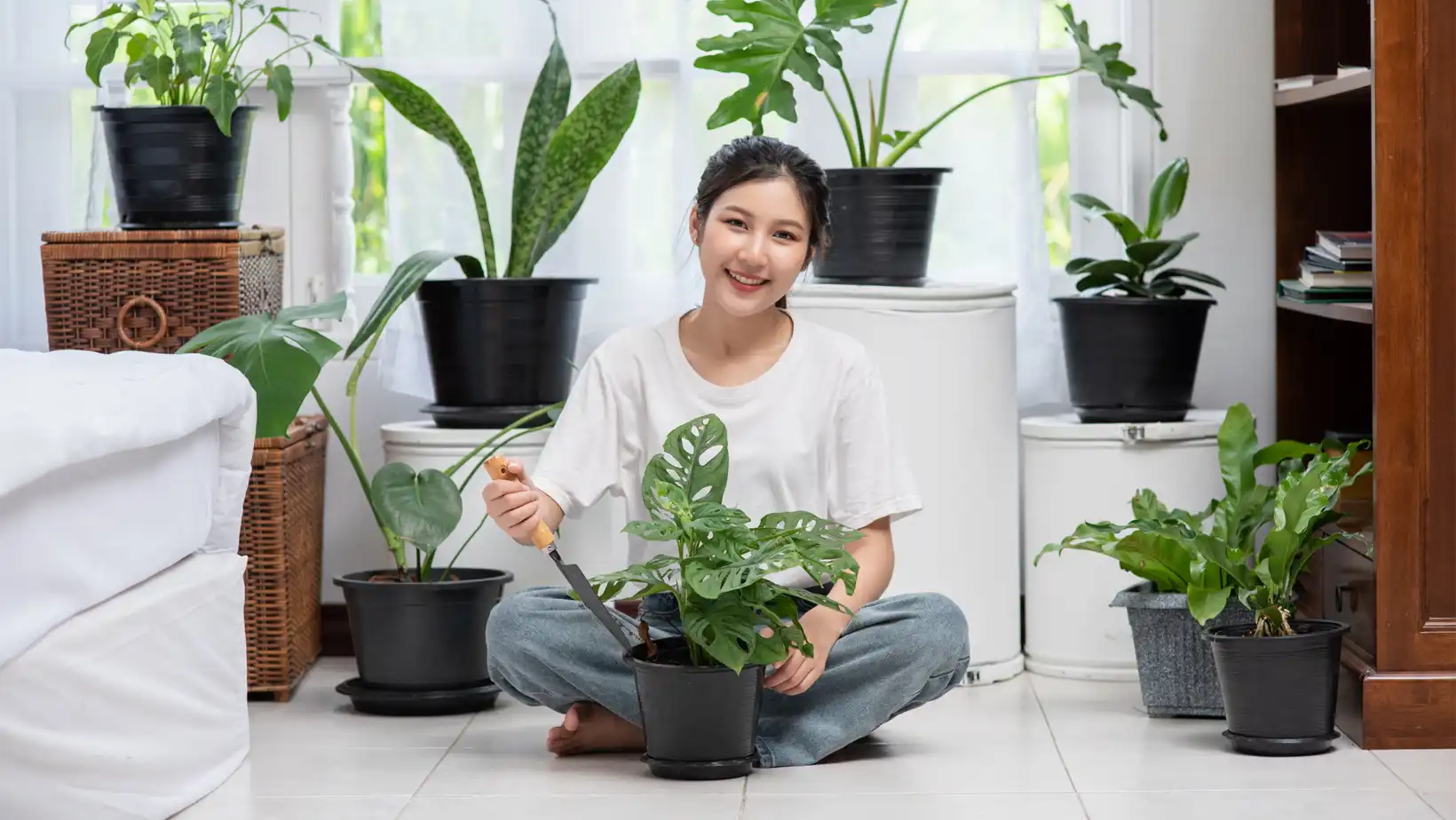 Cultiva plantas medicinales en casa con luz limitada- mejora tu salud y bienestar