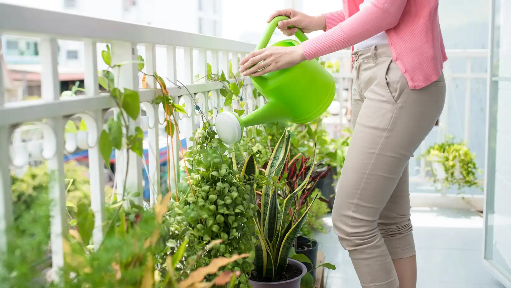 Maximiza tu cultivo en apartamentos- cosechas abundantes en poco espacio