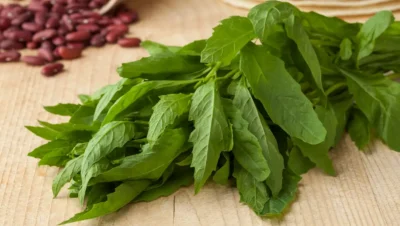 Cómo Usar el Epazote para Desparasitar: Tradición y Peligros en México