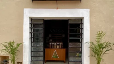 Interior de tienda naturista Areca Eco•Wellness Spot en Valladolid