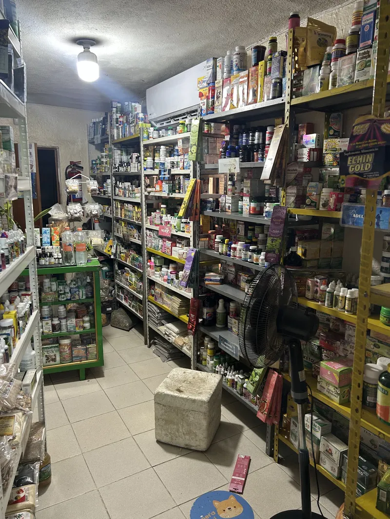 Interior de tienda naturista De Todo Natural en Cabo San Lucas