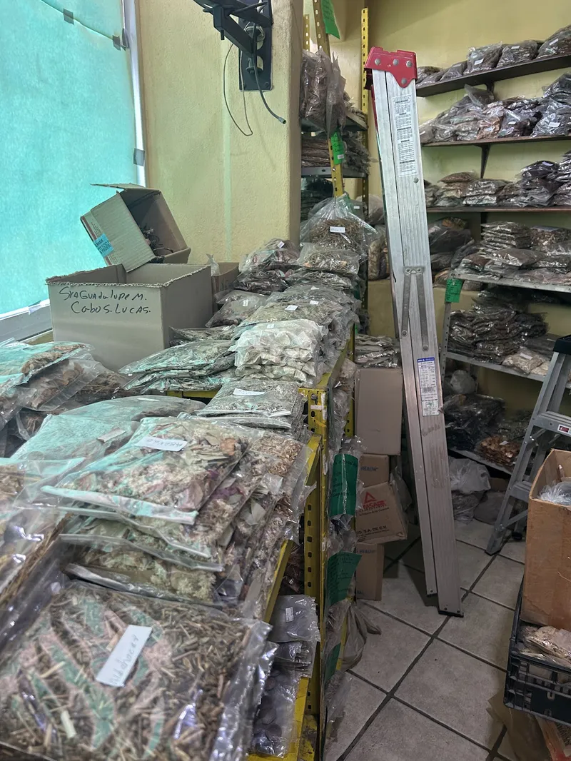 Interior de tienda naturista De Todo Natural en Cabo San Lucas