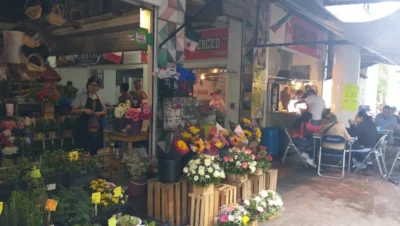Interior de tienda naturista Mercado Corona en Guadalajara