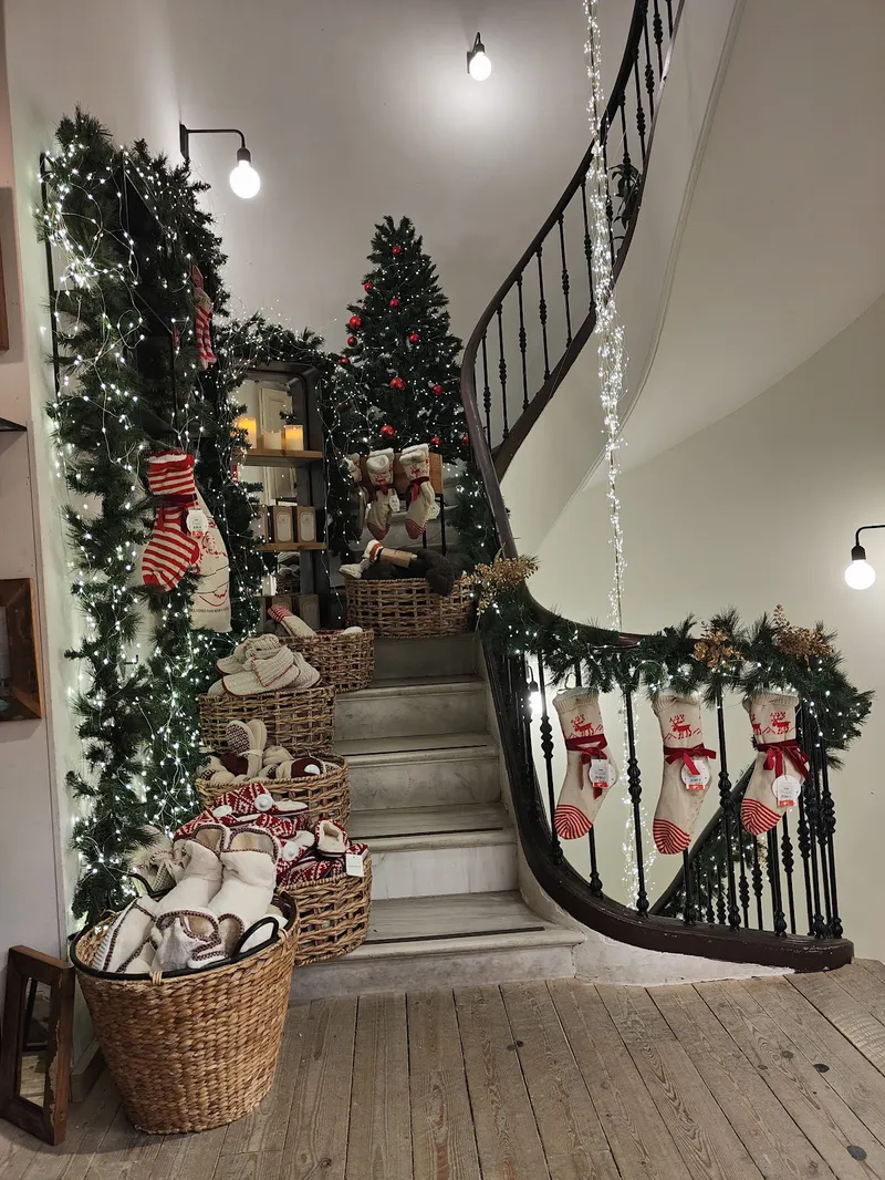 Interior de tienda naturista Natura en Málaga