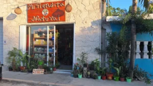 Interior de tienda naturista Natural Supplement Store Mi Tiendita Natural Botanica en Tulum