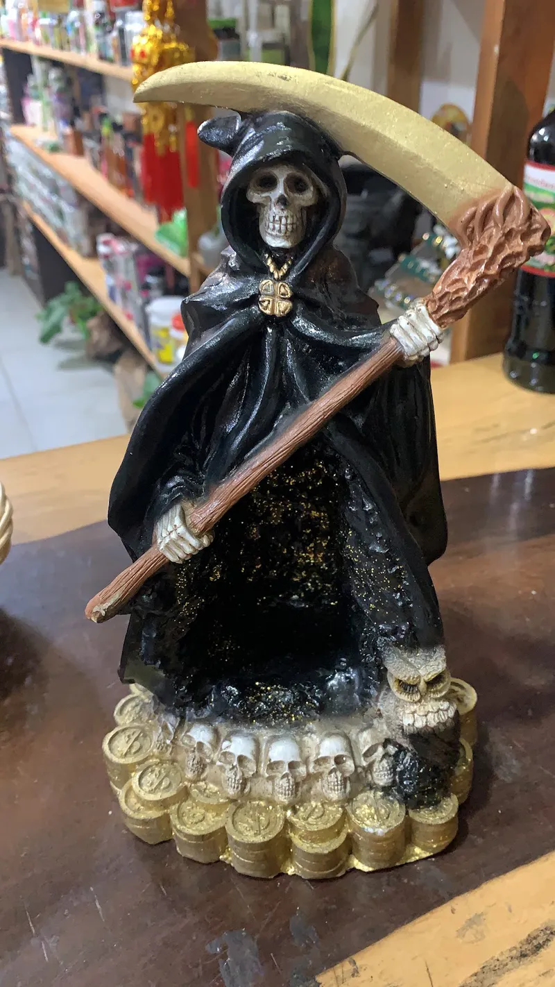 Interior de tienda naturista Natural Supplement Store Mi Tiendita Natural Botanica en Tulum