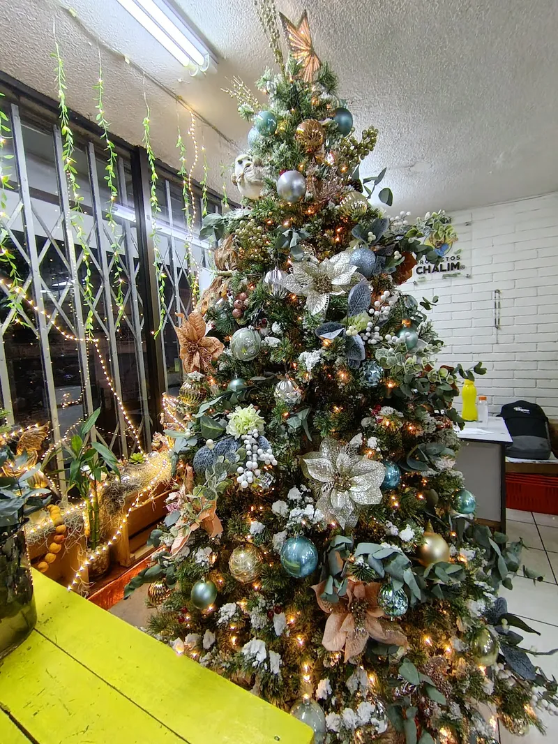 Interior de tienda naturista Naturalem en Ciudad de Guatemala
