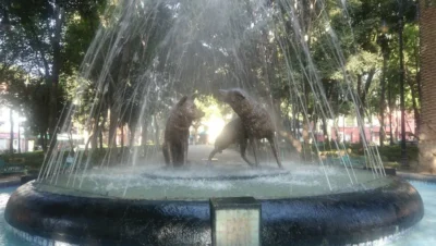 Interior de tienda naturista Pacalli Coyoacán en Ciudad de México