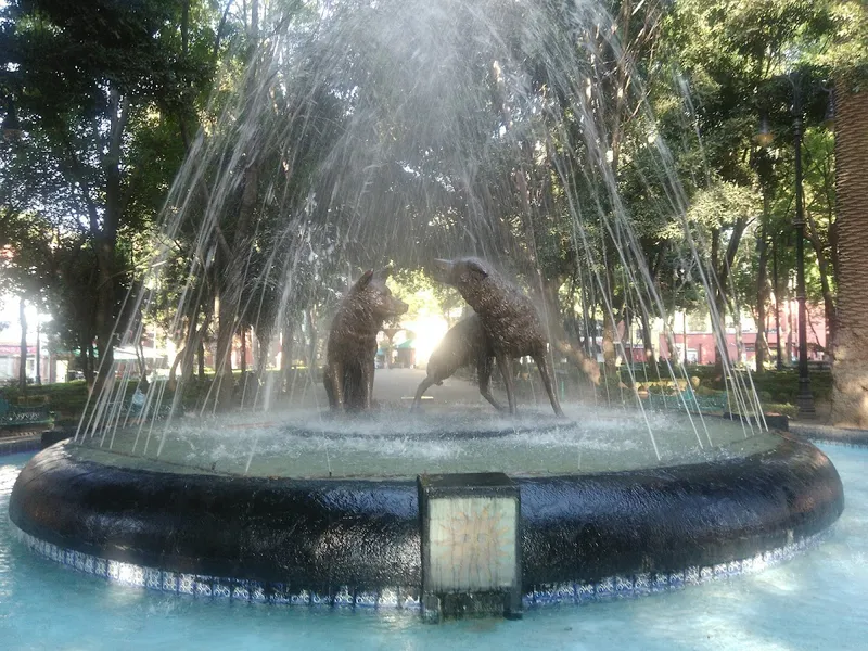 Interior de tienda naturista Pacalli Coyoacán en Ciudad de México