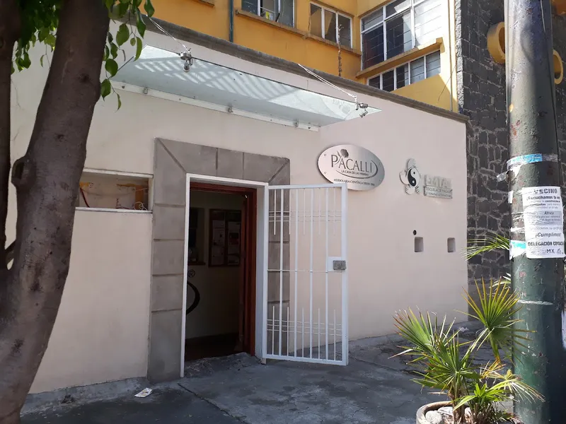 Interior de tienda naturista Pacalli Coyoacán en Ciudad de México