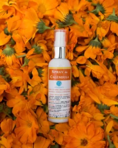 Interior de tienda naturista Selvática en Oaxaca de Juárez