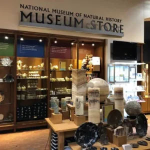 Interior de tienda naturista Smithsonian National Museum of Natural History Store en Washington
