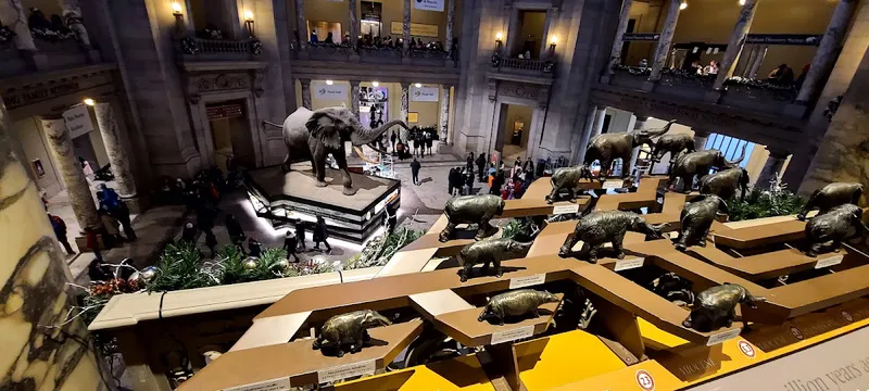 Interior de tienda naturista Smithsonian National Museum of Natural History Store en Washington