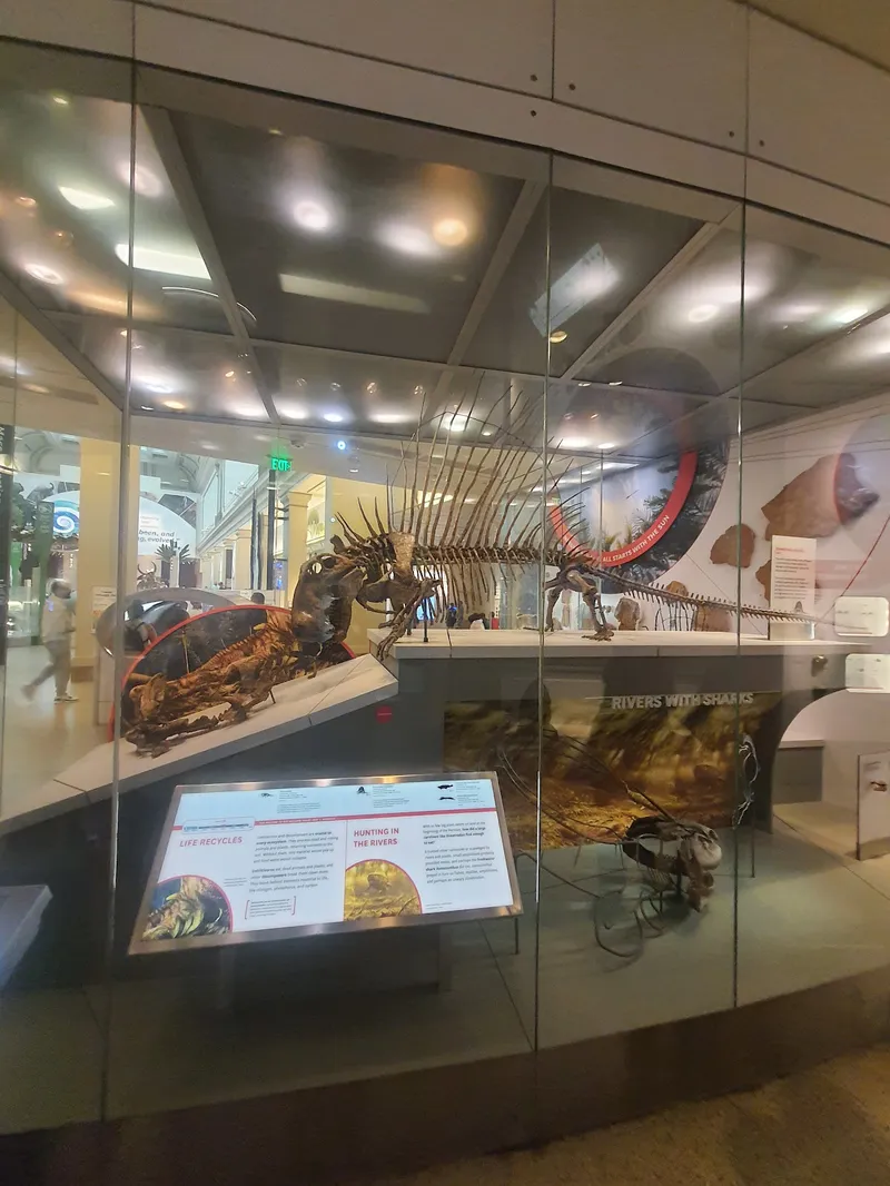 Interior de tienda naturista Smithsonian National Museum of Natural History Store en Washington