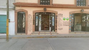 Interior de tienda naturista Tienda Naturista Arbol de Vida en Tultepec