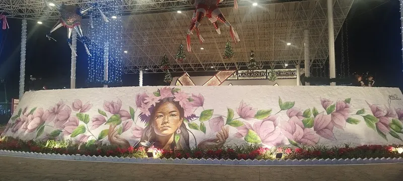 Interior de tienda naturista Tienda naturista en Ciudad de México