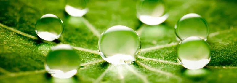 Interior de tienda naturista TIENDA NATURISTA COLTIENDA NATURAL PACIFIC en Cali