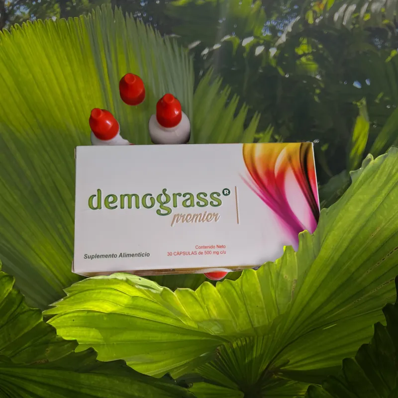 Interior de tienda naturista Tienda Naturista JESDIAN 2 en Valle de Chalco Solidaridad