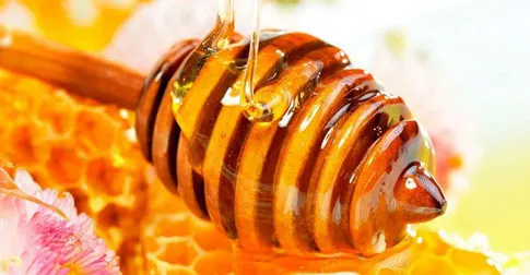 Interior de tienda naturista Tienda Naturista Mi Alimento Querétaro en Santiago de Querétaro