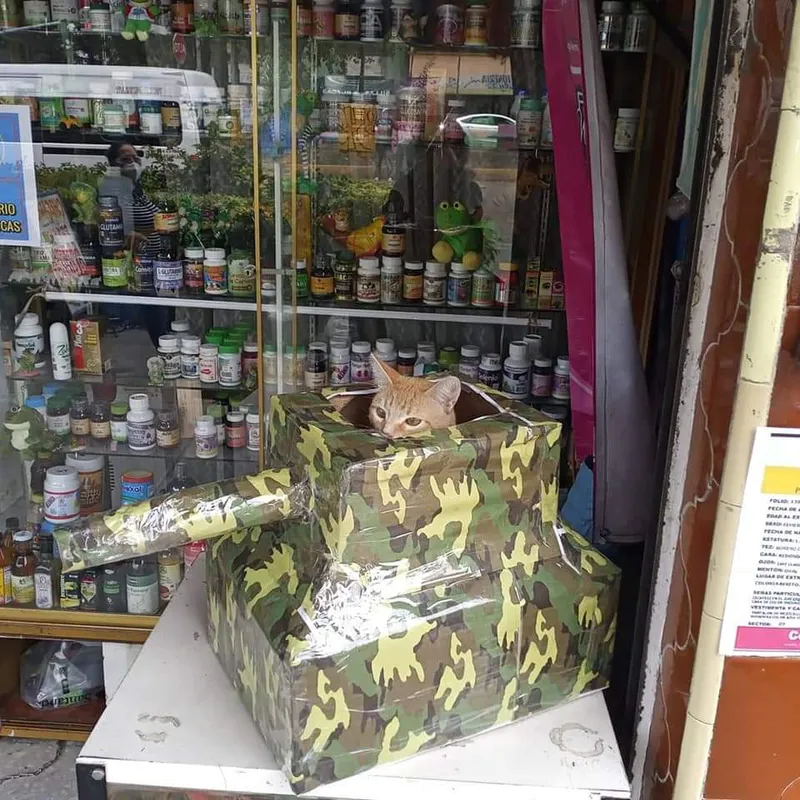 Interior de tienda naturista TIENDA NATURISTA PATY en Ciudad Nezahualcóyotl