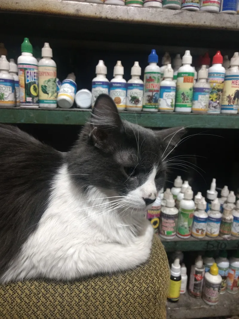 Interior de tienda naturista TIENDA NATURISTA PATY en Ciudad Nezahualcóyotl