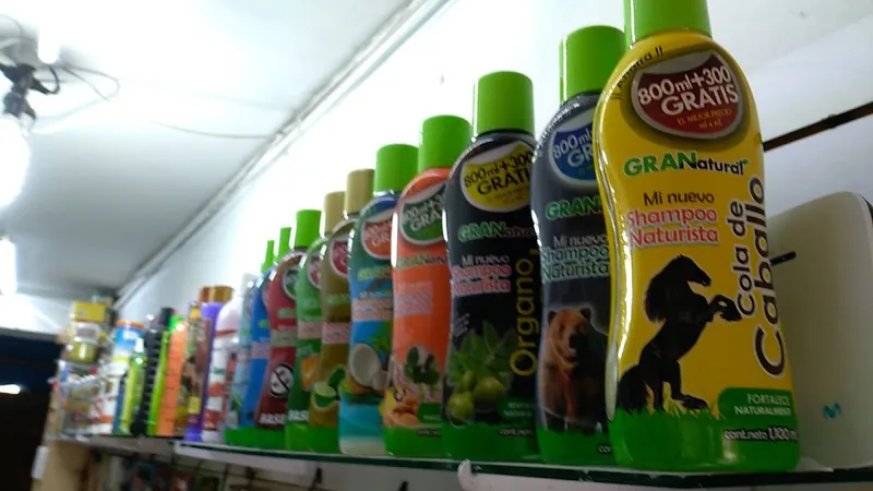 Interior de tienda naturista Tienda Naturista San Judas en San Martín Texmelucan de Labastida