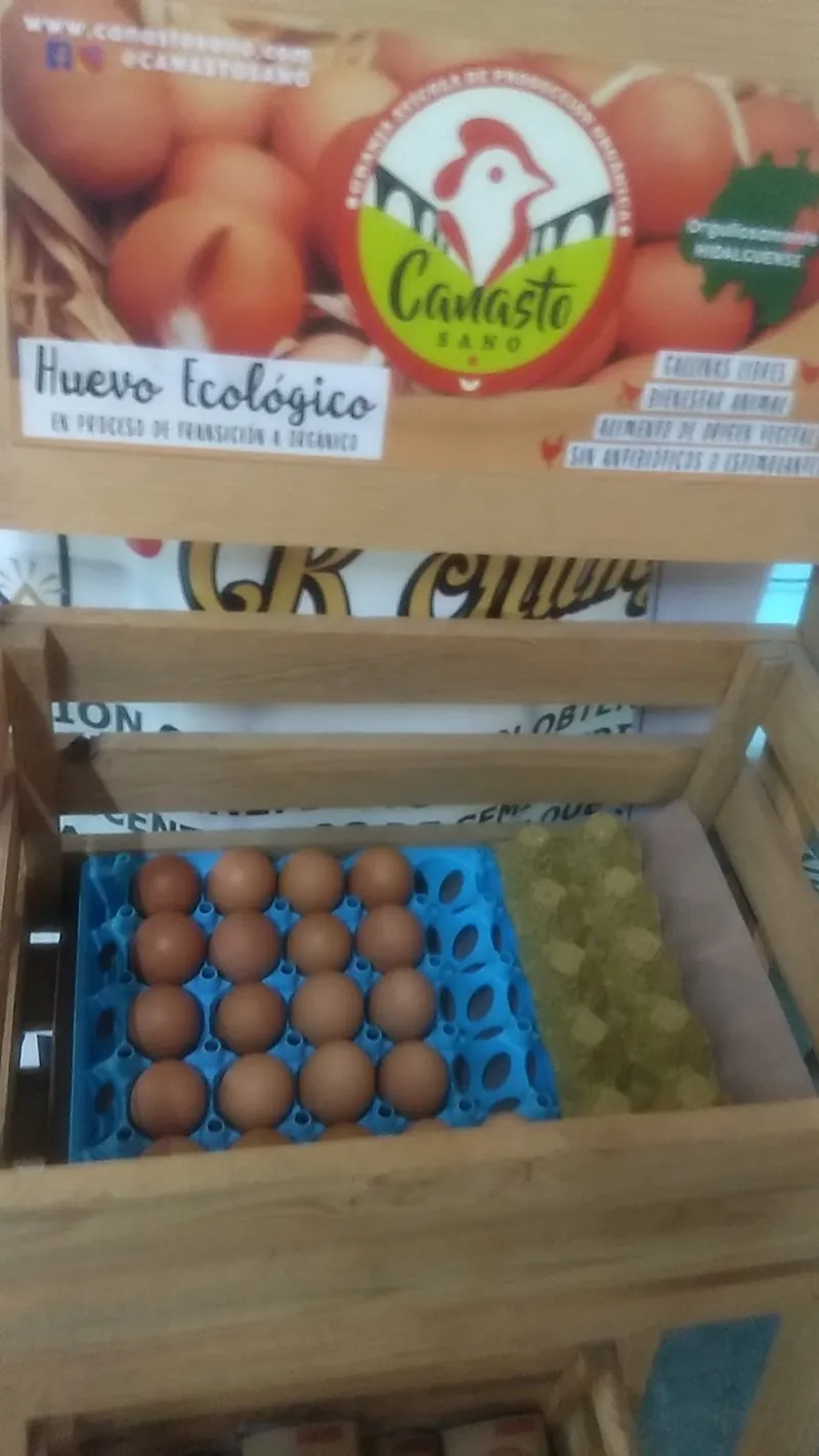 Interior de tienda naturista TIENDA NATURISTA SOY AMOR en Tulancingo