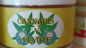 Interior de tienda naturista Tienda naturista valle dorado en Mezcales