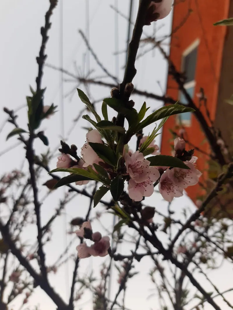 Interior de tienda naturista Tienda naturista vibe natural en Ciudad de México