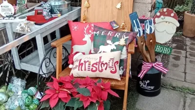 Interior de tienda naturista TODO NATURAL en Ciudad de México