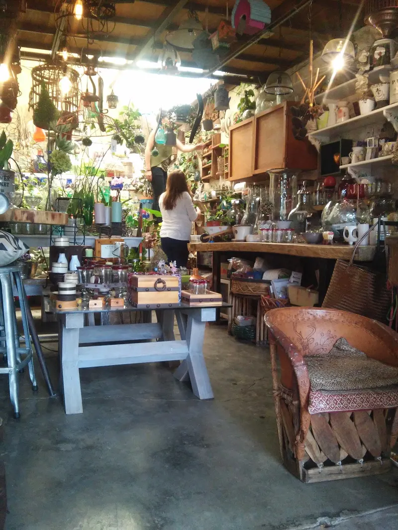 Interior de tienda naturista TODO NATURAL en Ciudad de México